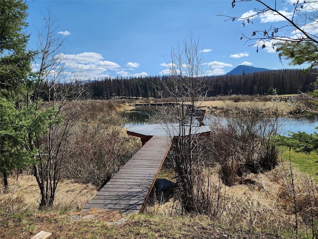 view of dock with a water view and a forest view
