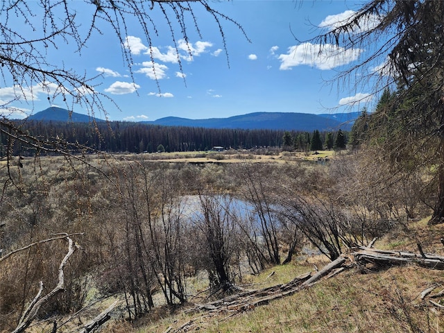 property view of mountains with a water view and a wooded view