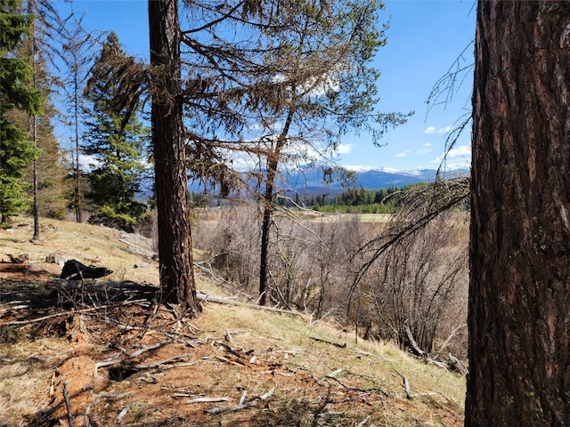 view of mountain feature
