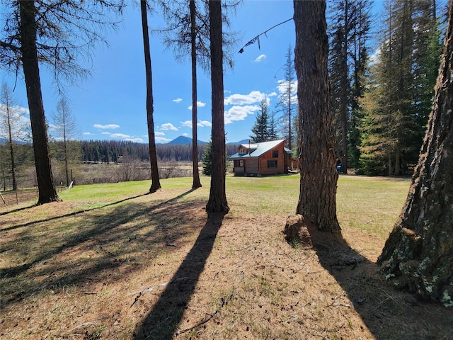 view of yard with an outdoor structure and a mountain view