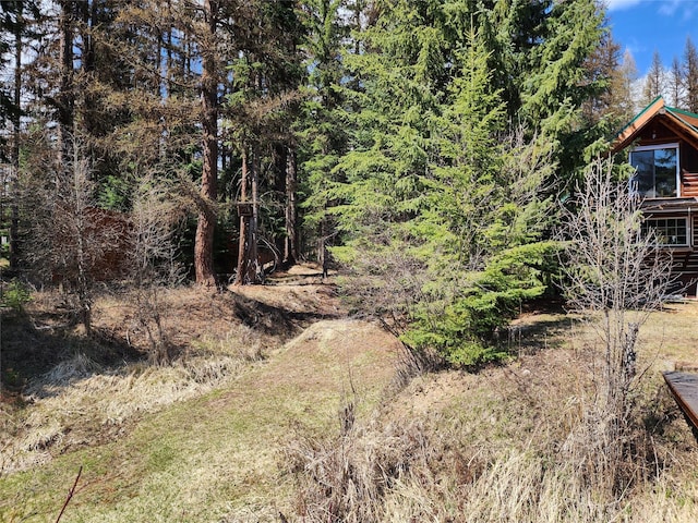 view of nature
