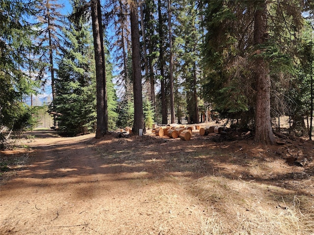 view of nature