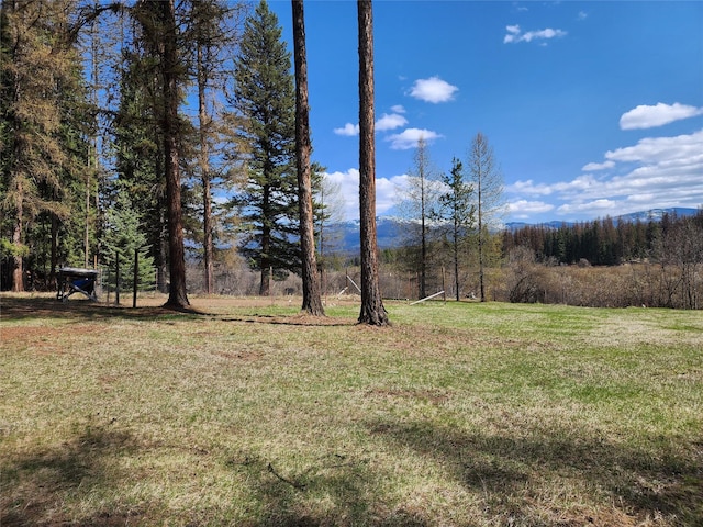view of yard with a view of trees
