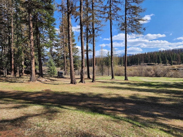 view of yard with a forest view