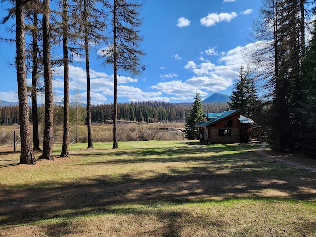 view of yard featuring an outdoor structure and a mountain view