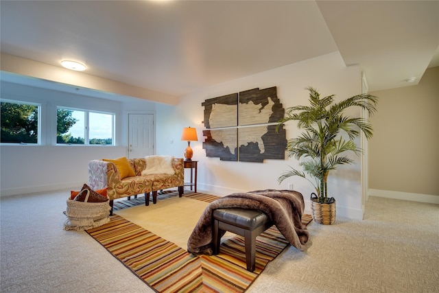 living area with carpet and baseboards