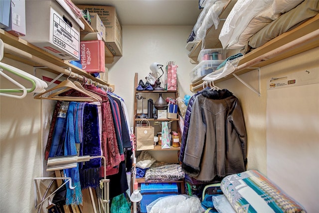 view of walk in closet