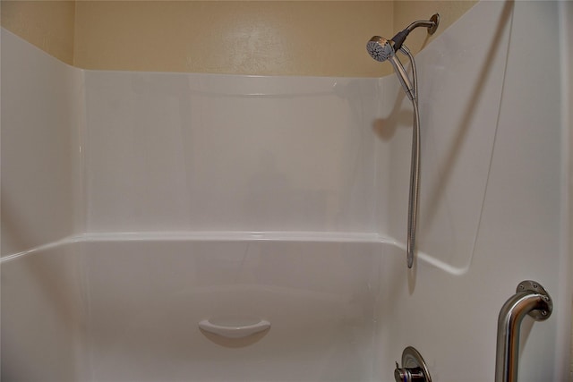 interior details featuring walk in shower