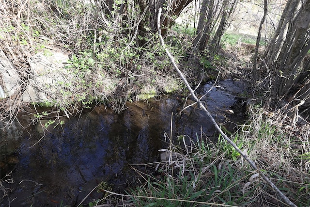 view of local wilderness