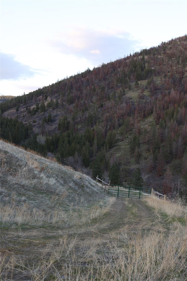 view of mountain feature featuring a forest view