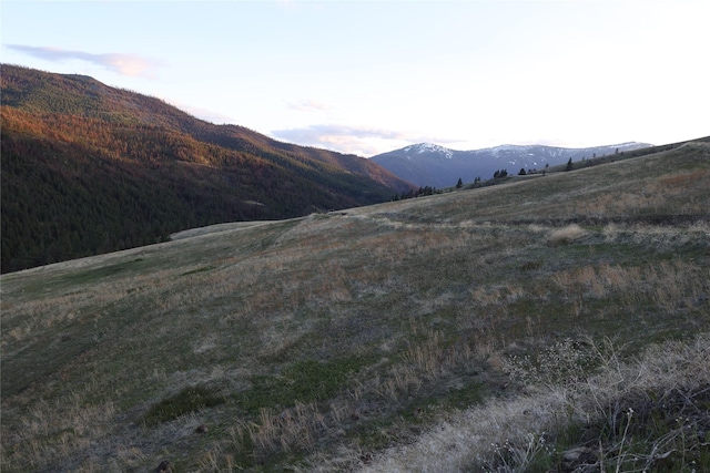 view of mountain feature