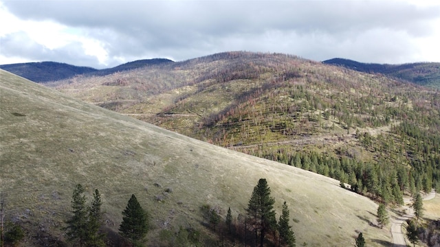 view of mountain feature
