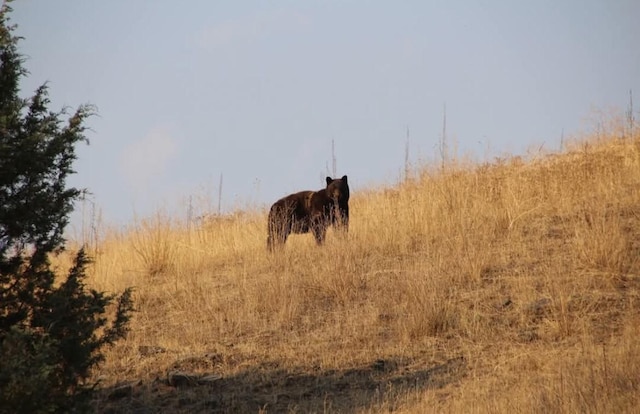 view of nature featuring a rural view
