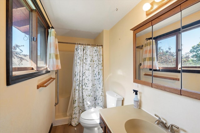 1108 9th St E, Polson, MT 59860 - bathroom with toilet, vanity, a shower with shower curtain, and wood finished floors