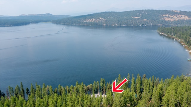 144 S Shore Pl, Seeley Lake, MT 59868 - water view with a heavily wooded area and a mountain backdrop