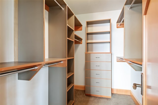 144 S Shore Pl, Seeley Lake, MT 59868 - walk in closet featuring carpet floors