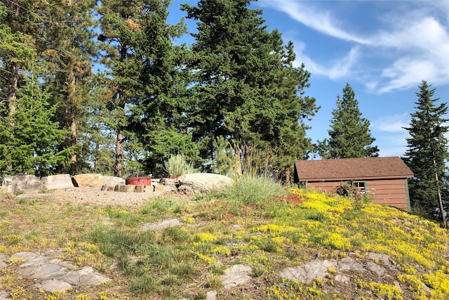 42746 Knuppel Ln, Big Arm, MT 59910 - view of yard
