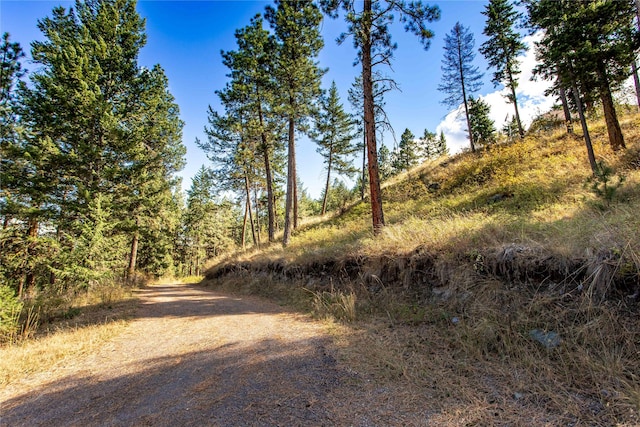 42746 Knuppel Ln, Big Arm, MT 59910 - view of road
