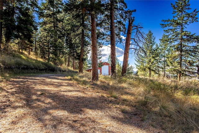 42746 Knuppel Ln, Big Arm, MT 59910 - view of yard featuring an outbuilding