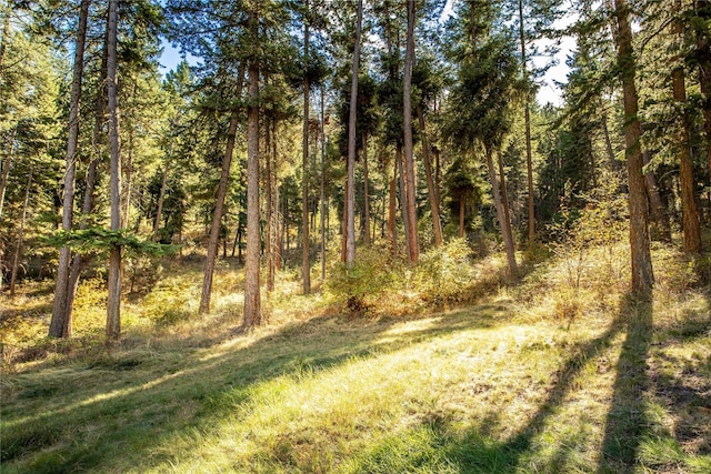 42746 Knuppel Ln, Big Arm, MT 59910 - view of tree filled area