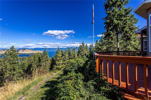 42746 Knuppel Ln, Big Arm, MT 59910 - water view featuring mountains