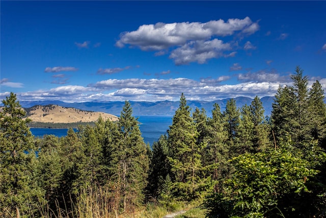 42746 Knuppel Ln, Big Arm, MT 59910 - view of mountain background with a large body of water