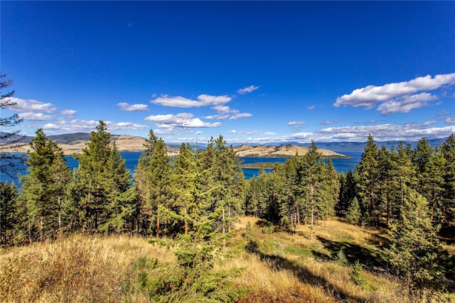 42746 Knuppel Ln, Big Arm, MT 59910 - view of mountain background with a large body of water