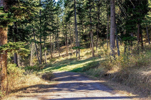 42746 Knuppel Ln, Big Arm, MT 59910 - view of street featuring a wooded view