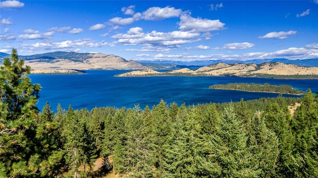 42746 Knuppel Ln, Big Arm, MT 59910 - water view featuring mountains