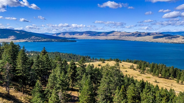 42746 Knuppel Ln, Big Arm, MT 59910 - water view with a mountain backdrop