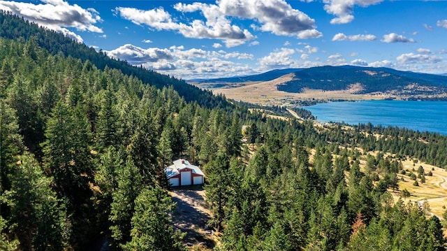 42746 Knuppel Ln, Big Arm, MT 59910 - view of mountain backdrop with a forest and a nearby body of water