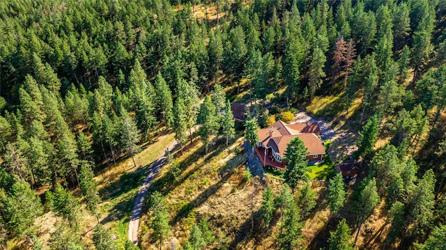 42746 Knuppel Ln, Big Arm, MT 59910 - aerial view of property and surrounding area featuring a forest