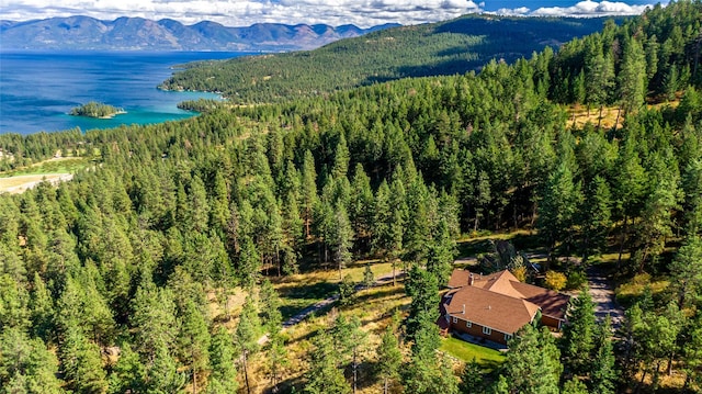 42746 Knuppel Ln, Big Arm, MT 59910 - bird's eye view of a heavily wooded area and a water and mountain view