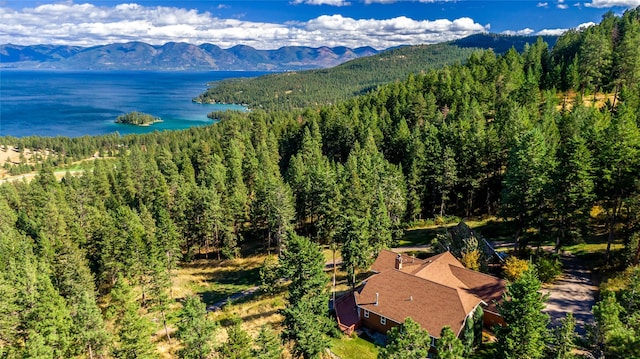 42746 Knuppel Ln, Big Arm, MT 59910 - view of subject property featuring a heavily wooded area and a water and mountain view