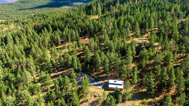 42746 Knuppel Ln, Big Arm, MT 59910 - aerial view of property's location featuring a heavily wooded area and a mountain backdrop