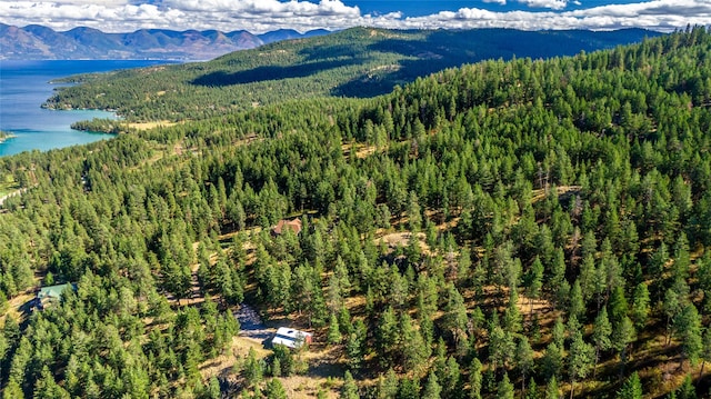 42746 Knuppel Ln, Big Arm, MT 59910 - aerial view of a heavily wooded area and a water and mountain view