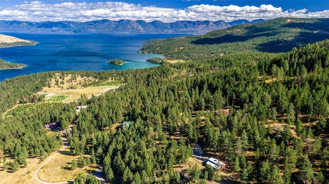 42746 Knuppel Ln, Big Arm, MT 59910 - aerial view of a water and mountain view and a forest