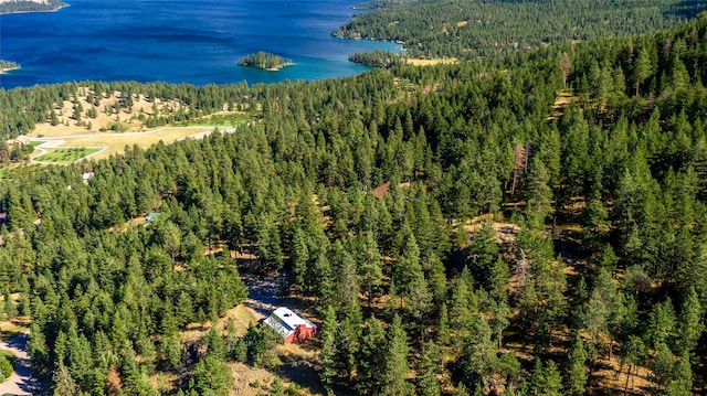 42746 Knuppel Ln, Big Arm, MT 59910 - drone / aerial view of a forest and a large body of water