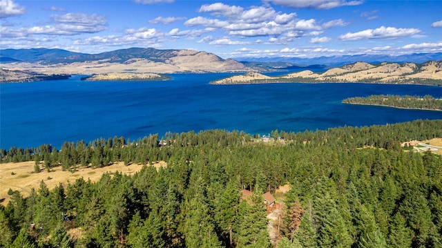 42746 Knuppel Ln, Big Arm, MT 59910 - water view featuring mountains and a forest