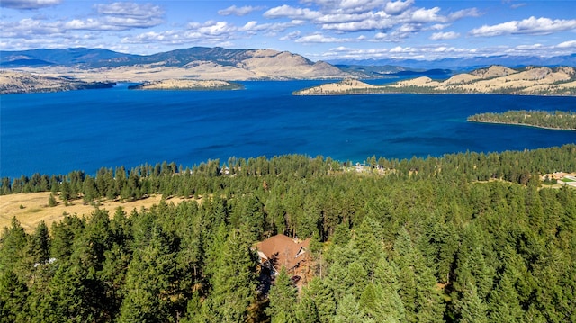 42746 Knuppel Ln, Big Arm, MT 59910 - water view with a mountainous background and a heavily wooded area