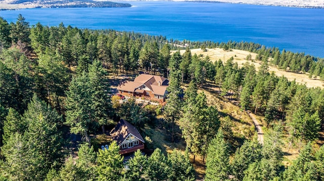 42746 Knuppel Ln, Big Arm, MT 59910 - aerial view of property's location featuring a nearby body of water and a forest