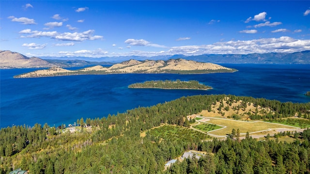 42746 Knuppel Ln, Big Arm, MT 59910 - water view featuring a mountain backdrop and a heavily wooded area