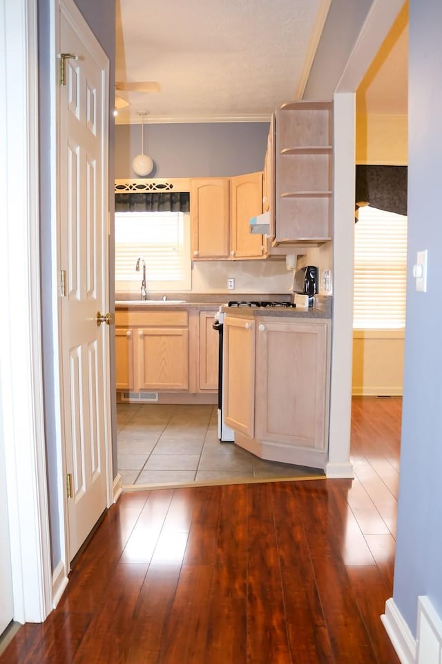 kitchen featuring a sink, light brown cabinetry, plenty of natural light, under cabinet range hood, and gas stove