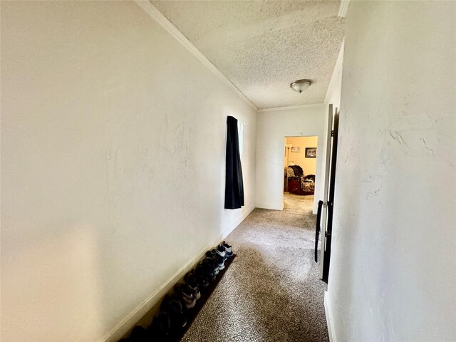 208 2nd Ave S, Belt, MT 59412 - corridor featuring carpet and a textured ceiling