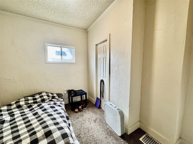 208 2nd Ave S, Belt, MT 59412 - unfurnished bedroom with carpet floors, ornamental molding, a textured ceiling, and a textured wall