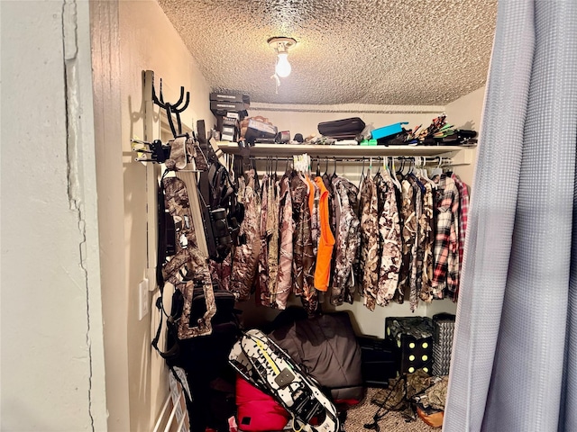 208 2nd Ave S, Belt, MT 59412 - view of walk in closet