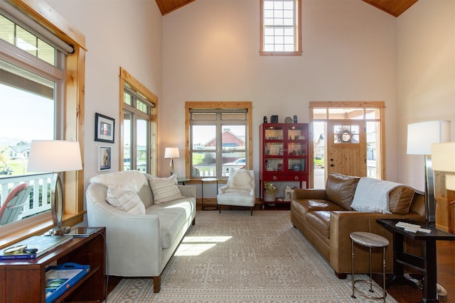 living area featuring high vaulted ceiling
