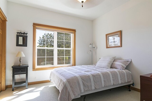 406 Back Nine Ln, Hamilton, MT 59840 - bedroom featuring baseboards and carpet flooring
