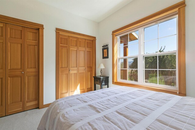 406 Back Nine Ln, Hamilton, MT 59840 - bedroom with light carpet