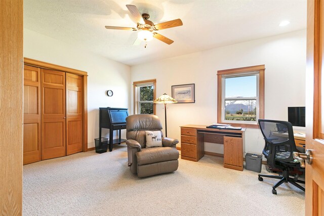 406 Back Nine Ln, Hamilton, MT 59840 - home office with light colored carpet and ceiling fan